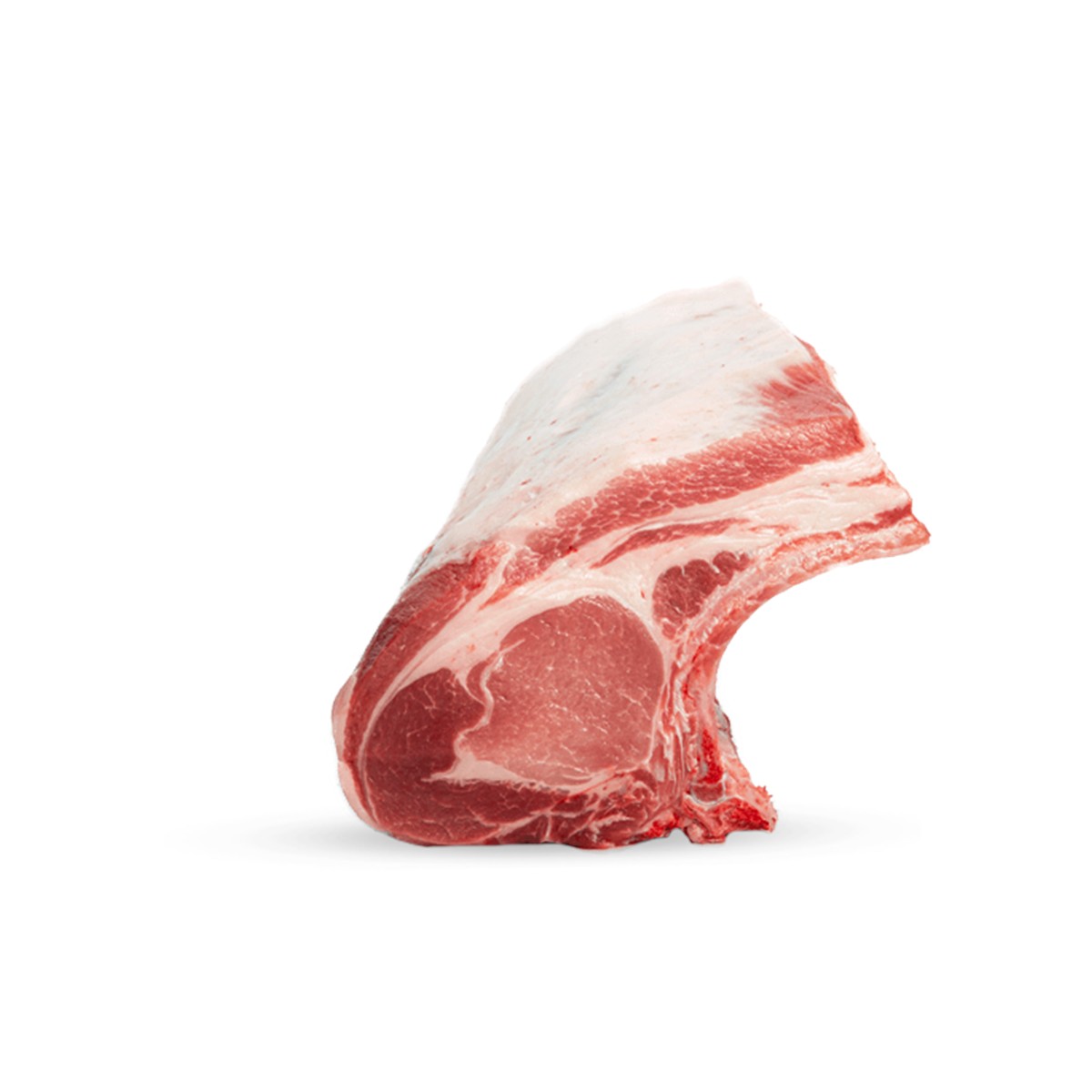 Costata