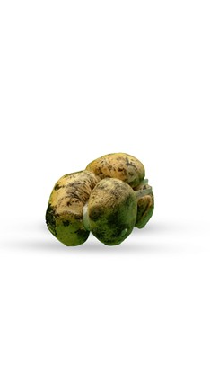 Scamorza affumicata bufala